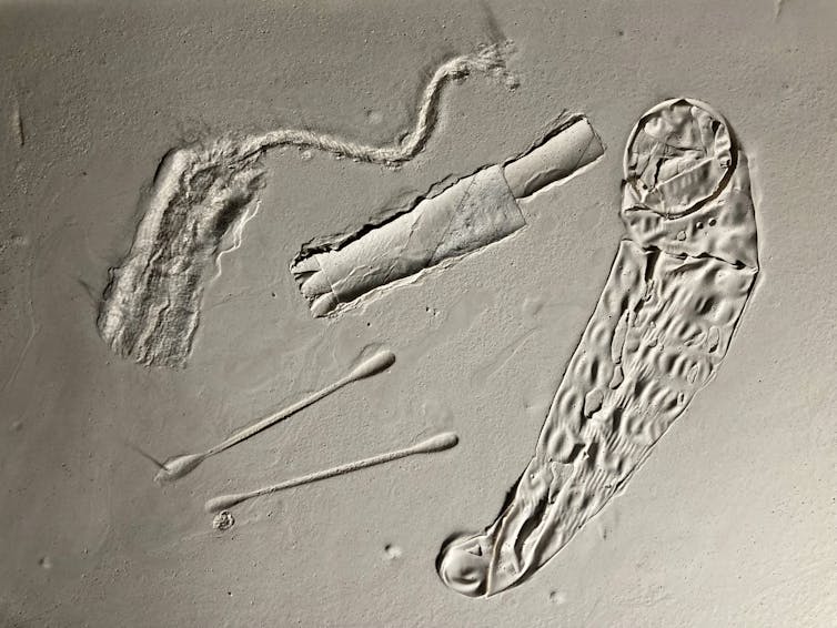 Condom and tampon mid-fossilisation