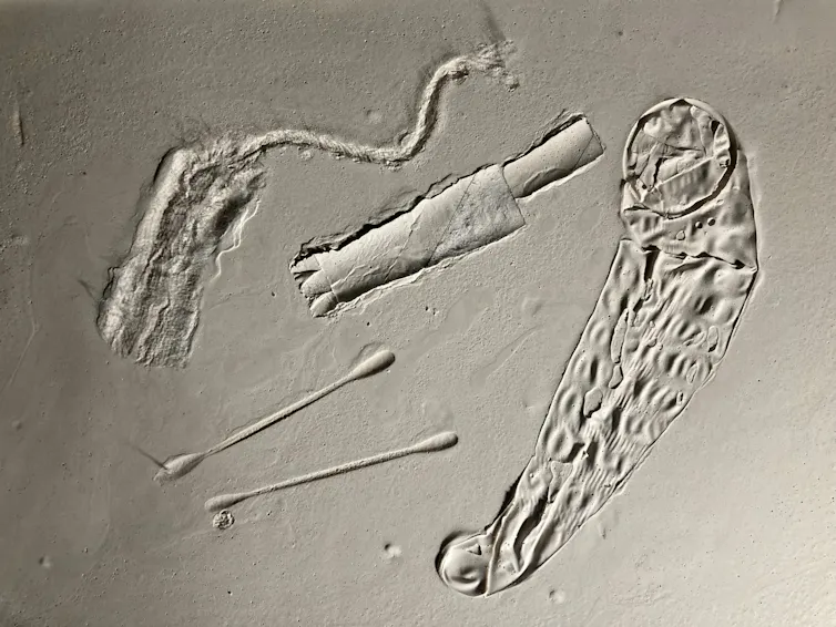 Condom and tampon mid-fossilisation