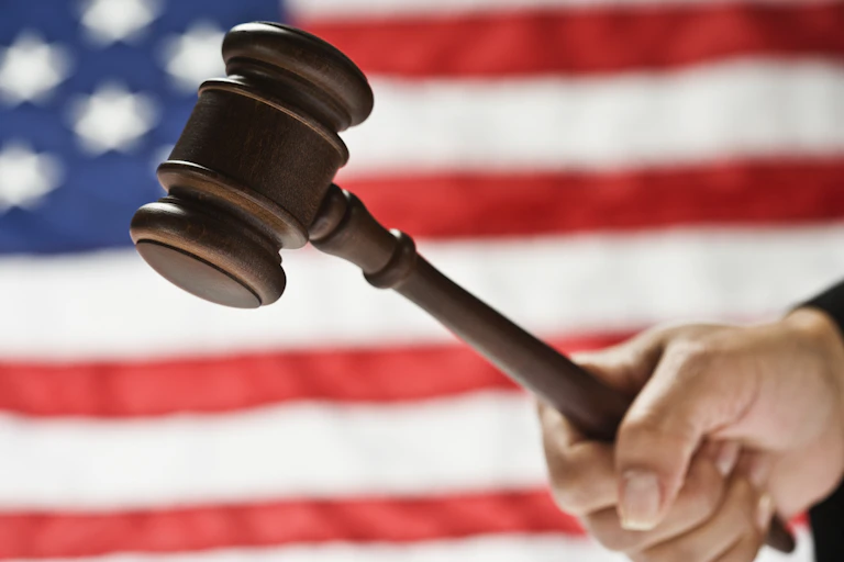 A hand holds a gavel with a U.S. flag as the backdrop.