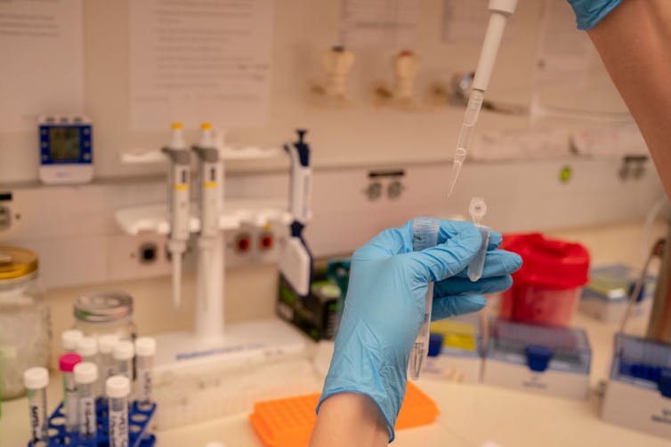 Person wearing nitrile gloves pipetting a liquid into a vial over a lab area
