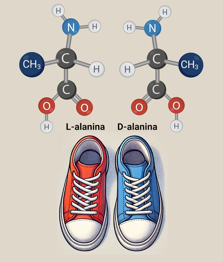 What are they talking in Benny Asteroid in regards to the foundation of lifestyles? 2 file 20250211 15 kv1a78.png?ixlib=rb 4.1