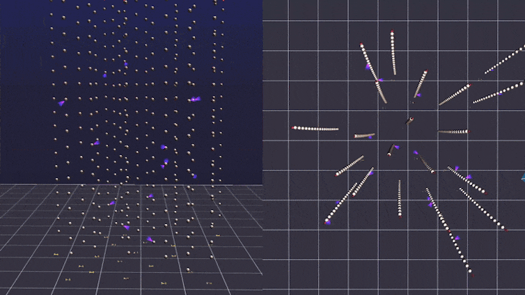 Animation showing side and top views of a particle passing through a grid of detectors and triggering them to light up.