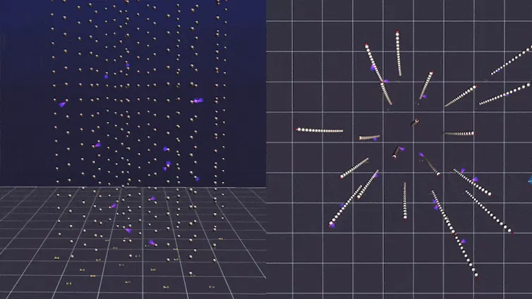 Animation showing side and top views of a particle passing through a grid of detectors and triggering them to light up.