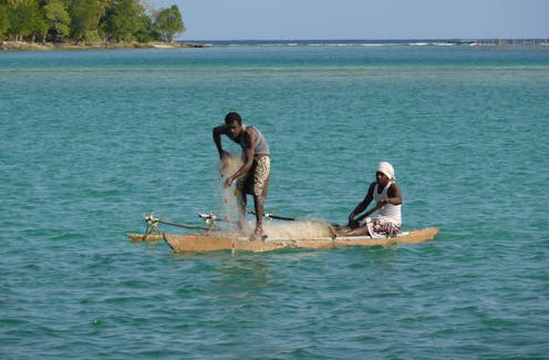 Indigenous knowledge merges with science to protect people from fish poisoning in Vanuatu