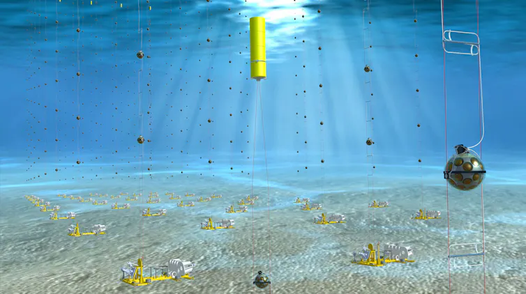 Artist's impression of the KM3NeT neutrino telescope anchored to the seabed.