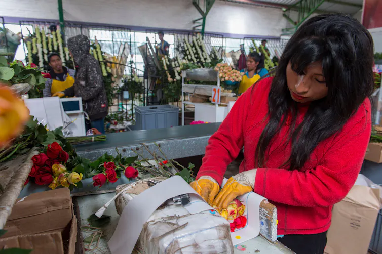 woman packages some flowers