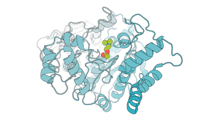 Clump of spirals and threads, with a small molecule at its center