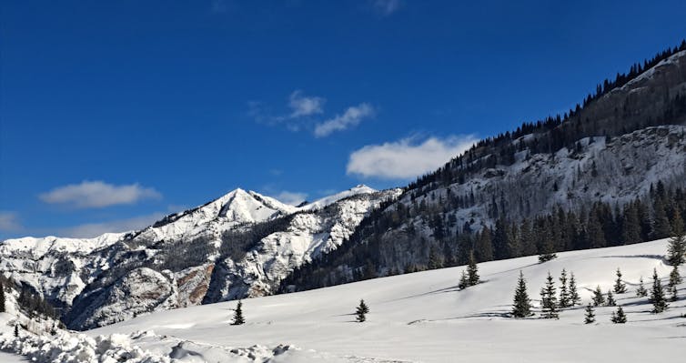A clear, brilliant blue sky over bright white snow, punctuated by pine trees and mountains in the background.
