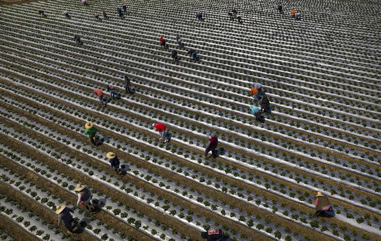 file 20250213 17 v2373p.jpg?ixlib=rb 4.1