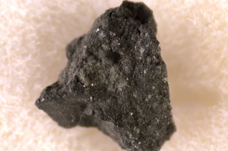 What are they talking in Benny Asteroid in regards to the foundation of lifestyles? 1 file 20250214 15 o0efm3.jpg?ixlib=rb 4.1