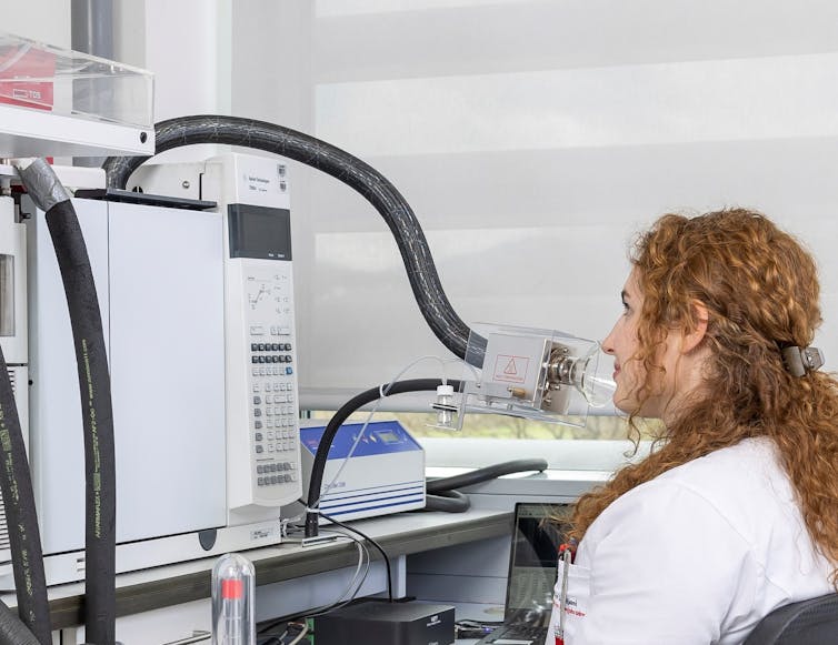 Researcher at an olfactory port in a laboratory