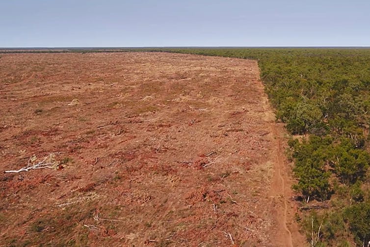 cleared savanna land with green edge
