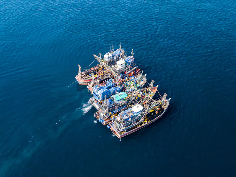 Aerial view of a large number of fishing trawlers operating together illegally in a marine reserve