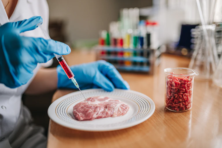 La viande cultivée en laboratoire est produite à partir de cellules animales en prolifération dans un milieu de culture contenant des facteurs hormonaux utilisés pour stimuler le développement cellulaire