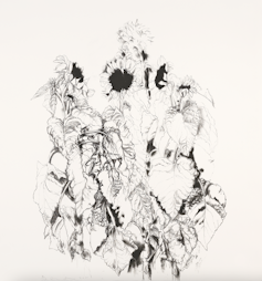 Black and white print of a bunch of sunflowers