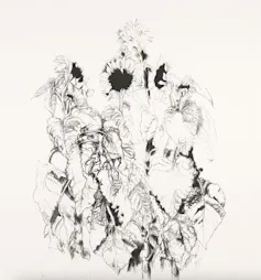 Black and white print of a bunch of sunflowers