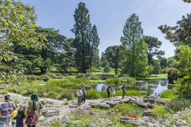 people walking through pretty botamic garden by lake in summer