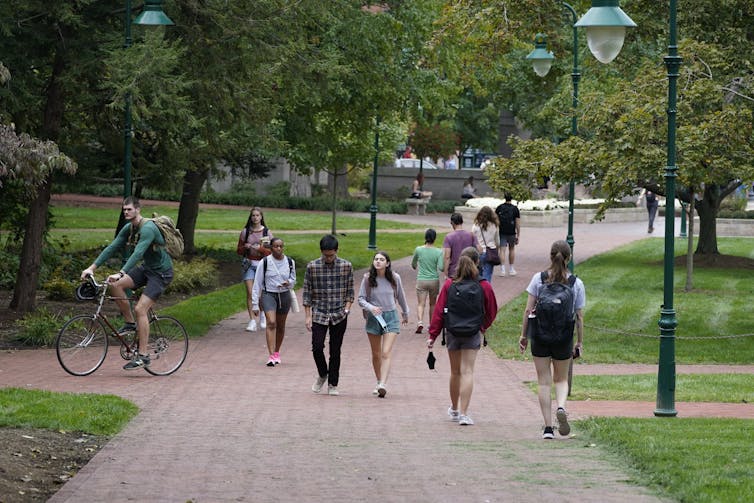 young people walk along a path on a university campus