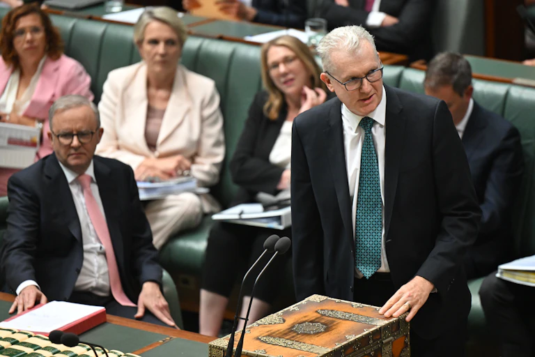 Tony Burke, the immigration minister, addresses parliament.