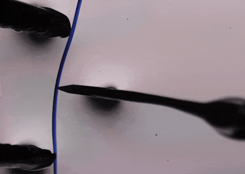 Crystals can’t bend – or can they? New research sheds light on elusive ‘flexible crystals’