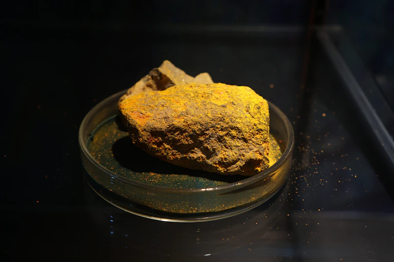 Rock covered in yellow crystals sitting in a petrie dish.