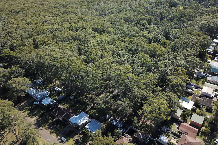 firefighters try to save house from fire
