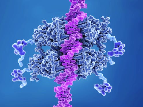 p53 is both your genome’s guardian and weakness against cancer – scientists are trying to repair or replace it when it goes awry