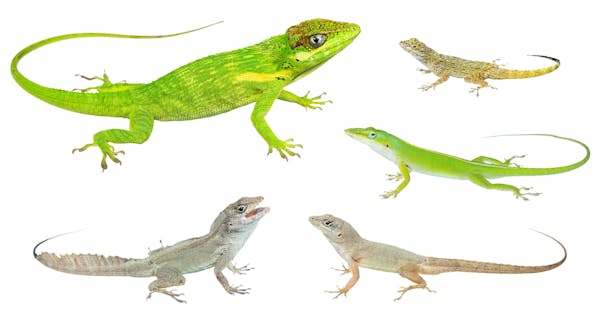 This image has been removed. For security reasons, only images from the local domain are allowed. Image removed.