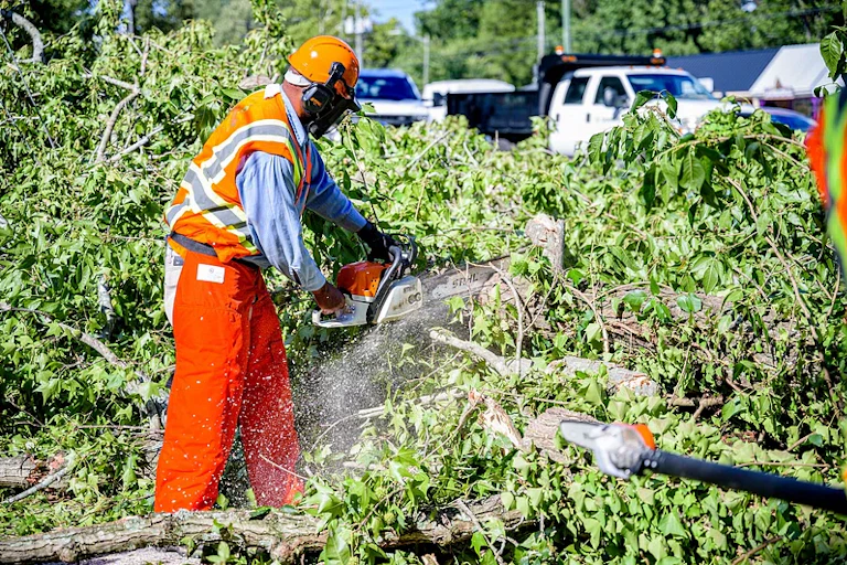 Person in hard hat and overall, using a chainsaw to cut up branches