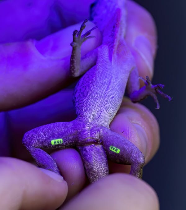 This image has been removed. For security reasons, only images from the local domain are allowed. Image removed.