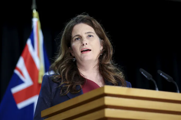 Nicola Willis speaking to the media at a podium