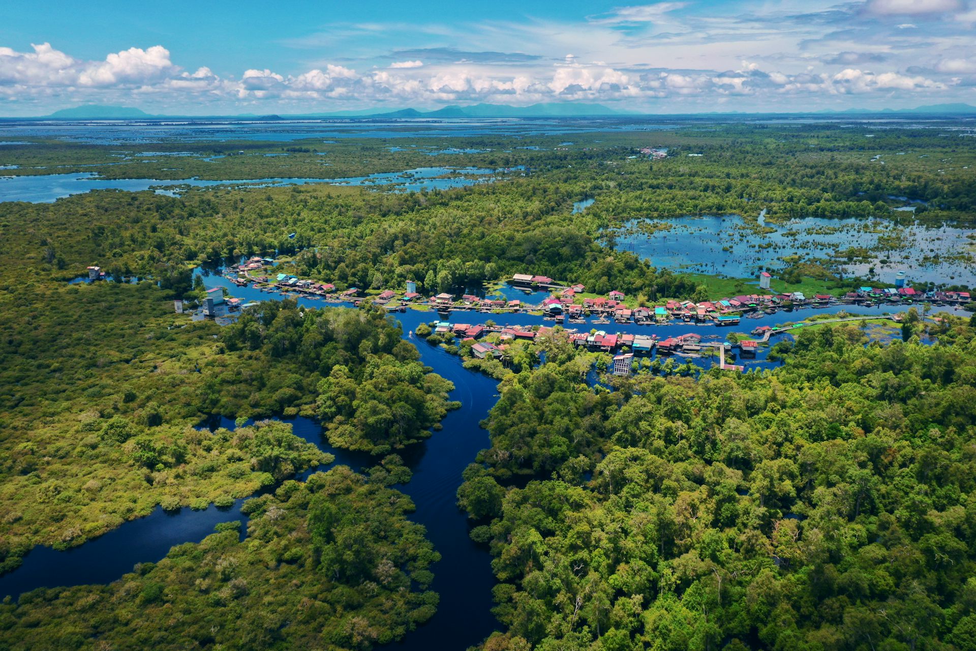 Lahan gambut dan mangrove adalah ekosistem kaya karbon yang harus dilindungi untuk mitigasi perubahan iklim