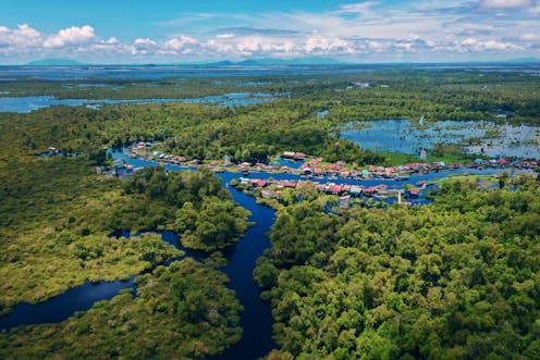 Lahan gambut dan mangrove adalah ekosistem kaya karbon yang harus dilindungi untuk mitigasi perubahan iklim