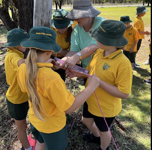 We found a new wasp! Students are discovering insect species through citizen science
