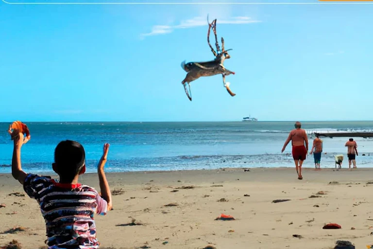 sur une plage un enfant tire deux ficelles qui le relie à un cerf (l'animal) qui vole au dessus de la mer/