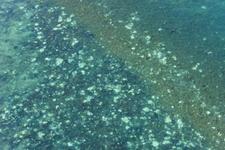 coral bleaching photographed form the air