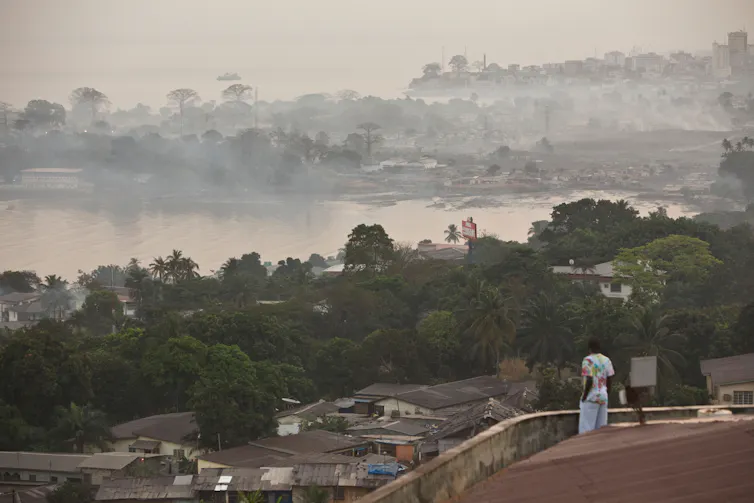 scenic view of Freetown with trees around housing