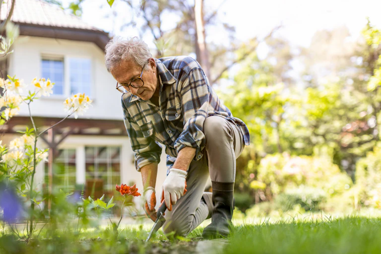 Man gardens