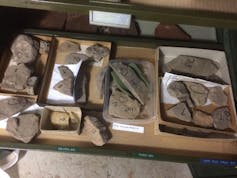 A table with several boxes of rock samples, all labeled and laid out for analysis.