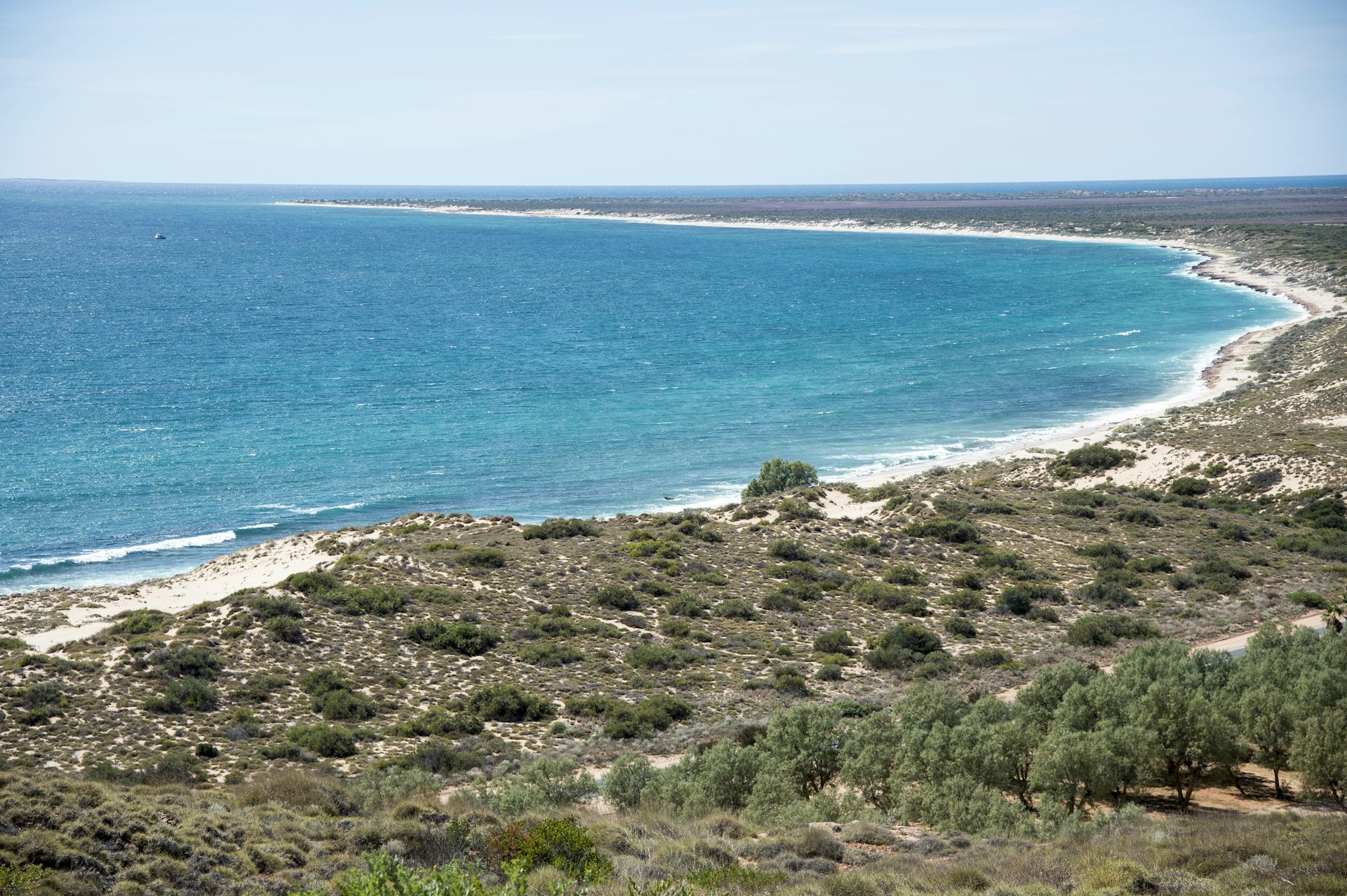 blue waters off coastal scrub