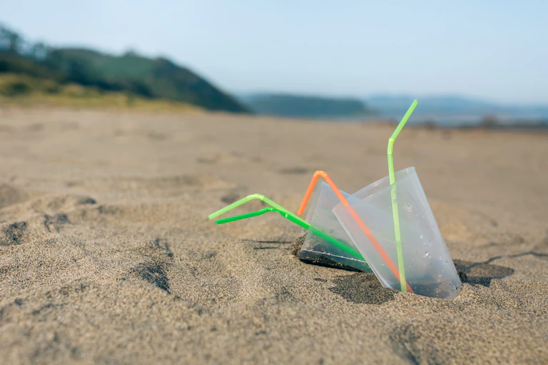 plastic straw litter on beach