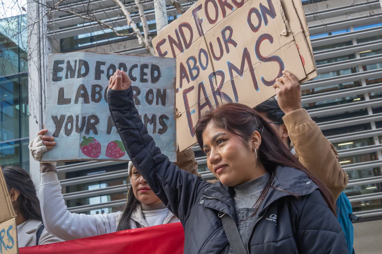 A woman with a raised fist and two people behind her holding placards that read 'end forced labour on farms'.