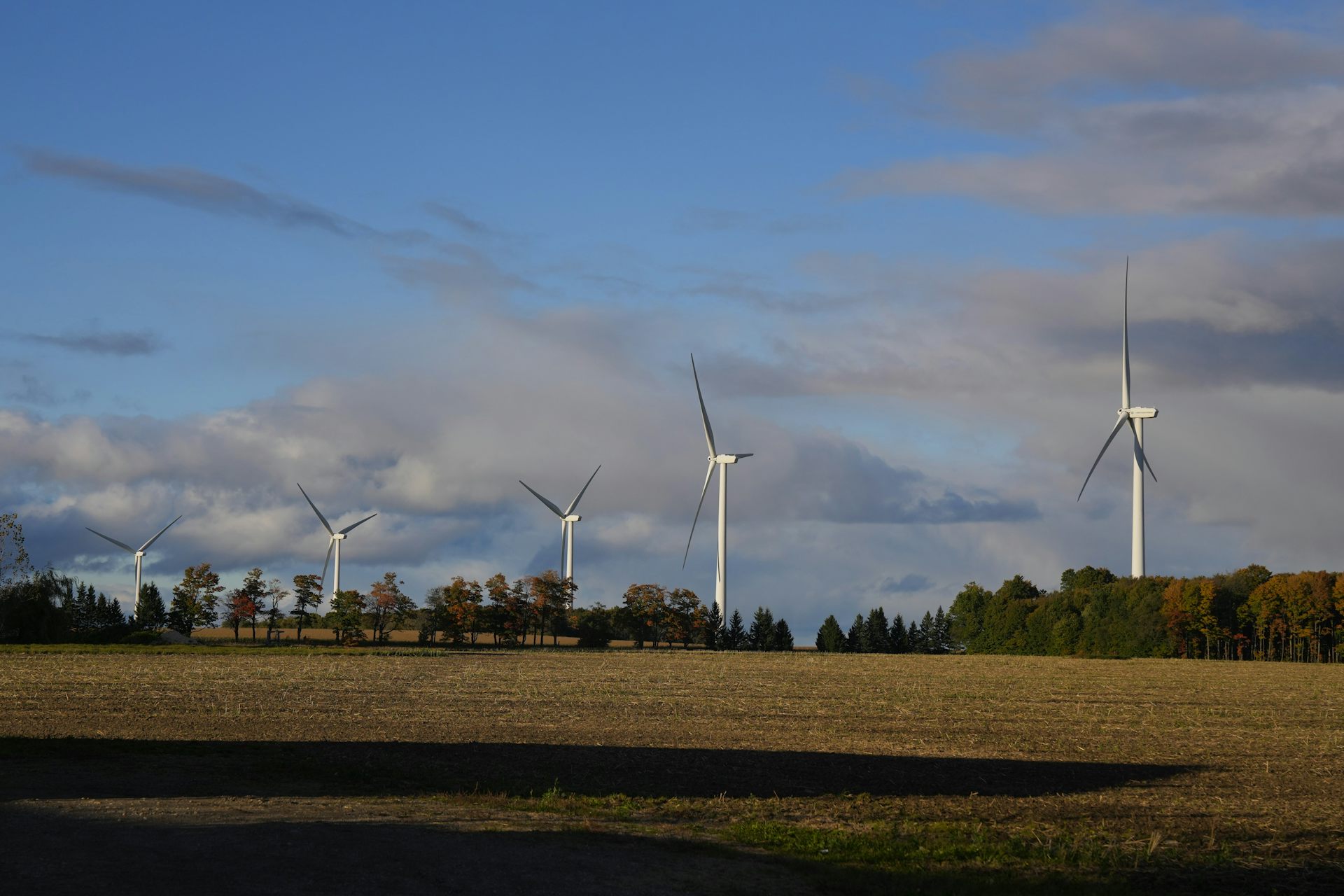 Wind turbines in a field