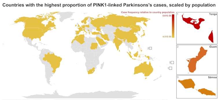 A world map shows the incidence of PINK1-linked Parkinson’s, adjusted for population.