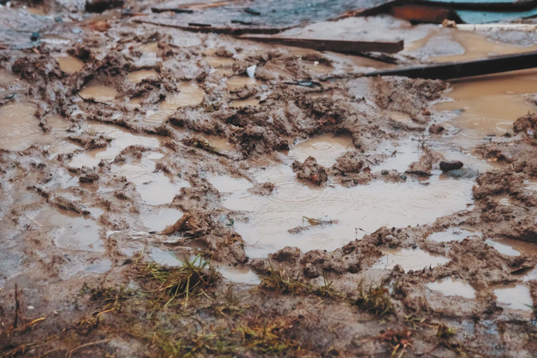 Muddy puddles.
