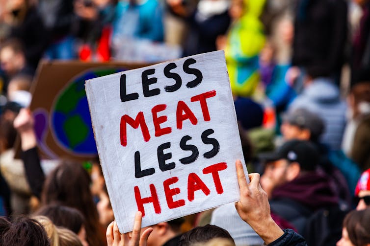 A person holds up a handmade poster at a protest or rally that reads 'less meat, less heat'