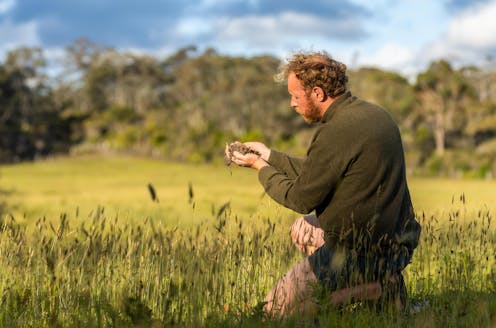 The UK’s food system is broken. A green new deal for agriculture could be revolutionary