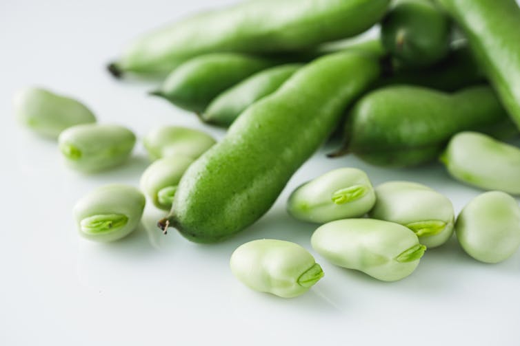 broad beans and broad bean pods