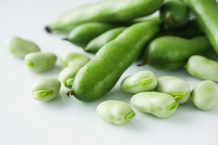 broad beans and broad bean pods