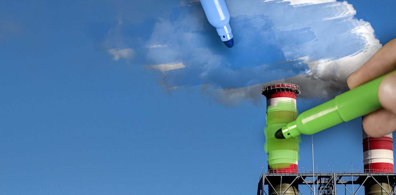 photo of 2025, un año clave en la lucha contra el ecoblanqueo image